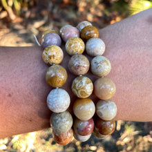 Load image into Gallery viewer, Fossilized coral jade bracelets