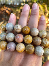 Load image into Gallery viewer, Fossilized coral jade bracelets