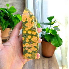 Load image into Gallery viewer, Kabamby Ocean Jasper from Madagascar