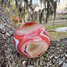 Load image into Gallery viewer, Huge sardonyx sphere statement piece with incredible banding!