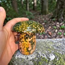 Load image into Gallery viewer, Stunning Kabamby Ocean Jasper mushroom from Madagascar