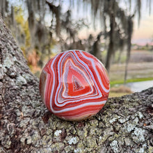 Load image into Gallery viewer, Huge sardonyx sphere statement piece with incredible banding!