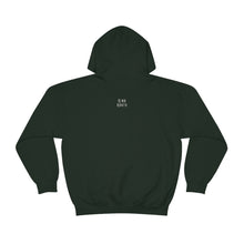 Load image into Gallery viewer, Enjoy The Flight Hoodie - Unisex