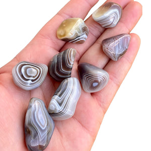 Botswana Agate Tumble