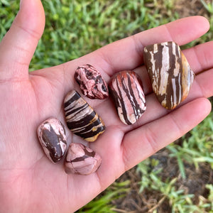 Zebra Jasper Tumble