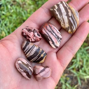 Zebra Jasper Tumble