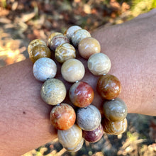 Load image into Gallery viewer, Fossilized coral jade bracelets
