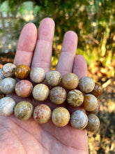 Load image into Gallery viewer, Fossilized coral jade bracelets

