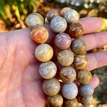 Load image into Gallery viewer, Fossilized coral jade bracelets
