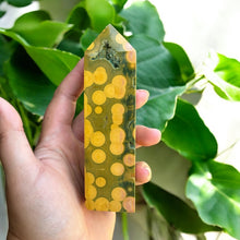 Load image into Gallery viewer, Kabamby Ocean Jasper from Madagascar

