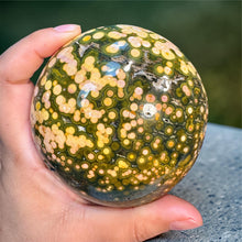 Load image into Gallery viewer, Stunning Kabamby Ocean Jasper mushroom from Madagascar
