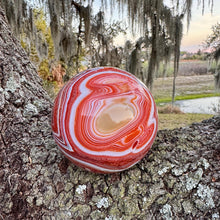 Load image into Gallery viewer, Huge sardonyx sphere statement piece with incredible banding!
