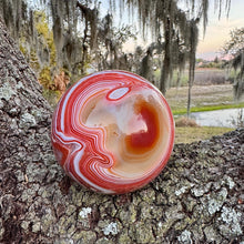 Load image into Gallery viewer, Huge sardonyx sphere statement piece with incredible banding!
