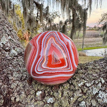 Load image into Gallery viewer, Huge sardonyx sphere statement piece with incredible banding!
