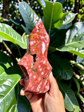 Load image into Gallery viewer, Natural red Ocean Jasper flame
