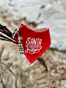 Santa, why you be judgin? Christmas dog & cat bandana