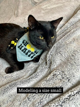 Load image into Gallery viewer, Choose Happy Smiley Face Dog &amp; Cat Bandana
