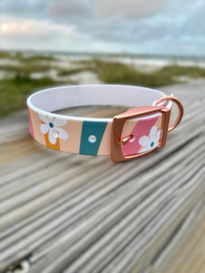 Be Kind or Be Quiet pet collar